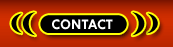 Transsexuals Phone Sex Contact San Jose